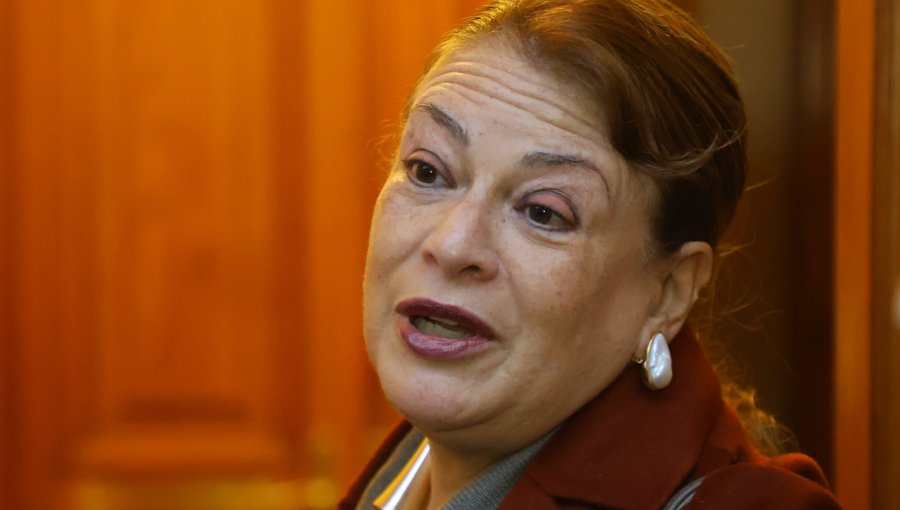 Formalizan a pareja de la exministra Vivanco y a otros dos abogados por soborno y otros delitos en el caso «Muñeca Bielorrusa»