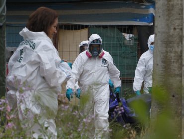 Hallan nuevas osamentas en San Vicente de Tagua Tagua: investigan si es un tercer cuerpo o parte de cadáveres ya encontrados