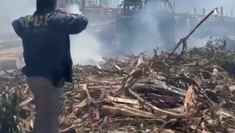 Cuarto atentado en tres días en La Araucanía: Queman siete máquinas forestales