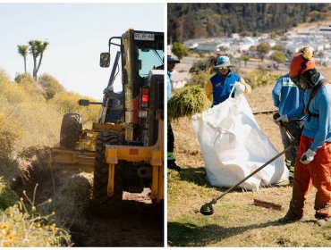 Plan Preventivo 2025-2026: Viña del Mar presentó más de 14 acciones para prevenir incendios forestales en la temporada estival