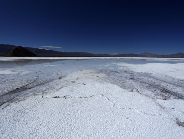 Codelco y SQM sortean otra valla para su alianza por la extracción de litio tras rechazo de la Corte de Apelaciones a reclamo de Tianqi
