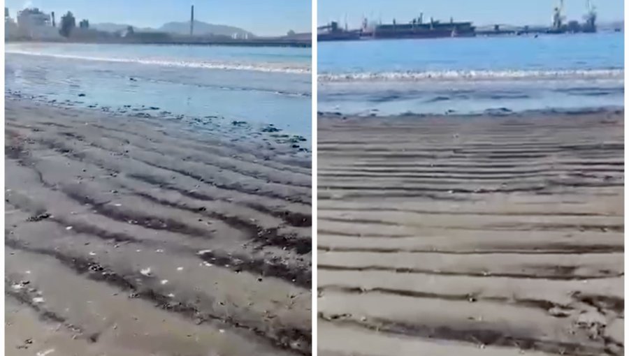 No cesa la contaminación en Puchuncaví: presencia de material particulado oscuro movilizó a la Policía Marítima a playa Ventanas
