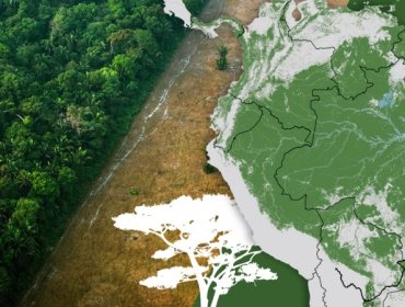 Los gráficos, mapas y fotos que muestran la lenta muerte de la Amazonía y por qué el mundo debería preocuparse