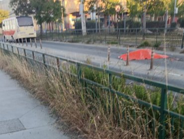 Mujer de unos 60 años perdió la vida tras ser atropellada por un microbús en Placilla