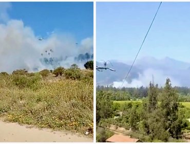 Incendio forestal descontrolado afecta al sector Las Cruces, entre Olmué y Limache