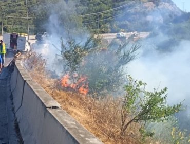 Incendio se registra en la ruta Las Palmas a la altura de la rotonda Simón Bolívar en Viña del Mar