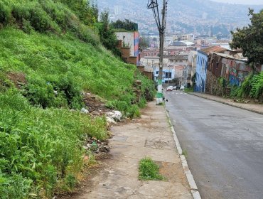 Sectores de los cerros Barón, Larraín y Alegre se verán beneficiados con importantes mejoras en la movilidad y seguridad peatonal