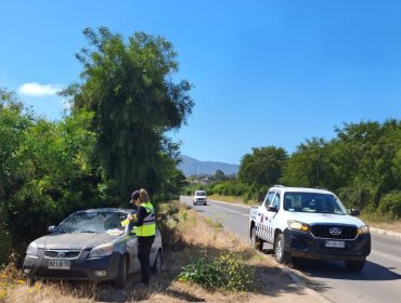 Intensifican fiscalizaciones a vehículos abandonados en la vía pública de Papudo: buscan disminuir posibles focos de delitos