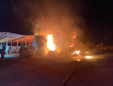 Dos camiones quemados deja incendio en la caletera de la ruta 60CH de Quillota