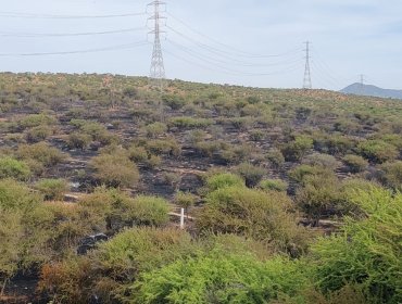 Cancelan la Alerta Roja para Limache tras control de incendio forestal que afectó a tres casas y consumió 30 hectáreas