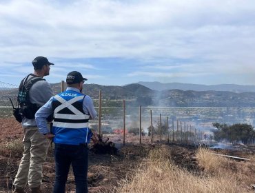 Incendio con Alerta Roja en Limache afectó a tres casas, obligó a evacuar a 35 personas y consumió más de 30 hectáreas de vegetación