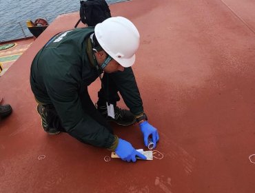 SAG detecta plaga de polilla en buque proveniente de Ecuador que arribó a Arica: realizaron tratamiento fitosanitario