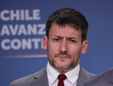 Exministro Diego Pardow: "Este país fue capaz de poner sus cuentas al día con errores míos"