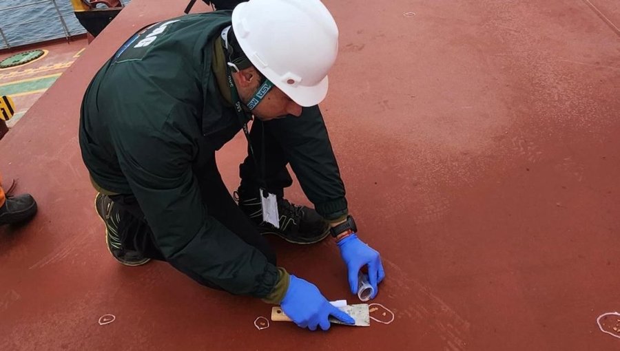 SAG detecta plaga de polilla en buque proveniente de Ecuador que arribó a Arica: realizaron tratamiento fitosanitario