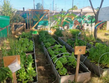Implementan proyecto de Red de Huertos Urbanos en siete comunas de la región de Valparaíso