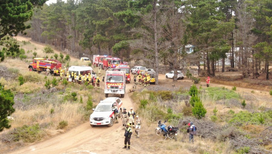 Bomberos del Gran Valparaíso realizaron ejercicio para fortalecer la capacidad de respuesta conjunta ante incendios forestales