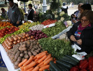 Ferias libres se modernizan y crecen 31% en una década y generan 440 mil empleos