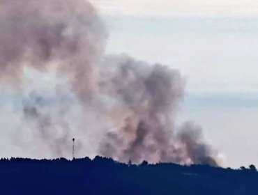 Senapred activó la mensajería SAE y solicitó evacuar el sector El Leoncillo de Laguna Verde por incendio forestal