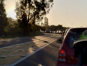 Denuncias por alta congestión vehicular en acceso a Limache llegan a Vialidad y a la SISS por obras de Aguas Pacífico
