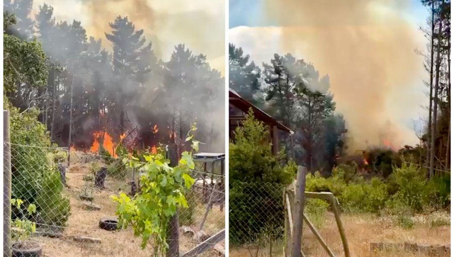 Declaran Alerta Roja en Valparaíso y activan Mensajería SAE por incendio forestal de proporciones en localidad de Laguna Verde
