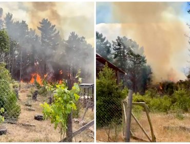 Declaran Alerta Roja en Valparaíso y activan Mensajería SAE por incendio forestal de proporciones en localidad de Laguna Verde