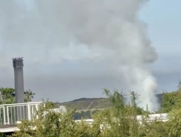 Incendio forestal moviliza a personal de Conaf y a voluntarios de Bomberos en Quintero