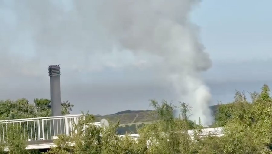 Con recursos aéreos y terrestres combaten incendio forestal en la comuna de Quintero