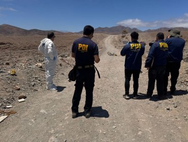 Ciclista murió tras ser atacado por una jauría de perros en la Cuesta Cardones de Copiapó