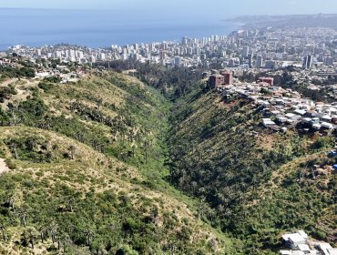 Parque Kan Kan de Viña fue reconocido como humedal urbano: es el 26° ecosistema acuático en ser declarado en la V Región