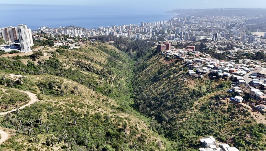 Parque Kan Kan de Viña fue reconocido como humedal urbano: es el 26° ecosistema acuático en ser declarado en la V Región