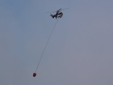 Incendio en Melipilla consume 10 hectáreas y autoridades ordenan evacuación en Culiprán