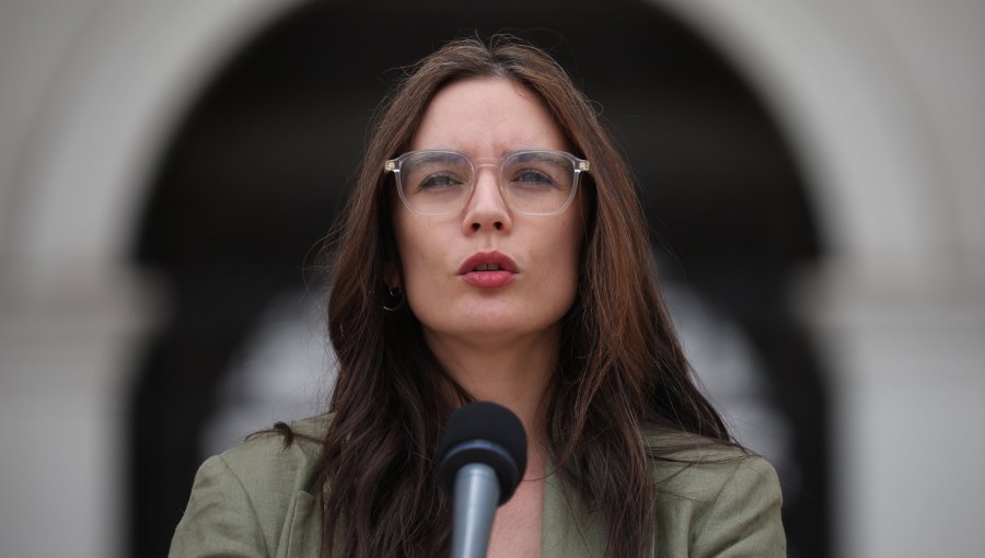 Vallejo responde a cuestionamientos de Jara por manejo de situación en la frontera con Perú: "Este Gobierno ha tomado medidas"