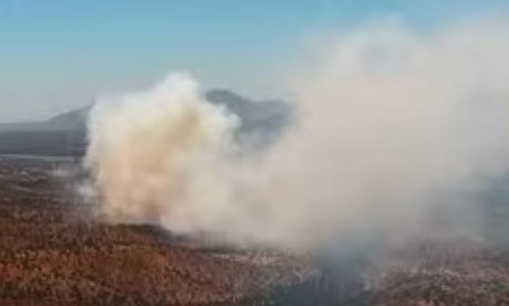 Declaran Alerta Roja para Limache por incendio forestal que se encuentra cercano a viviendas del sector Los Laureles