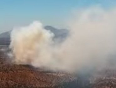 Declaran Alerta Roja para Limache por incendio forestal que se encuentra cercano a viviendas del sector Los Laureles