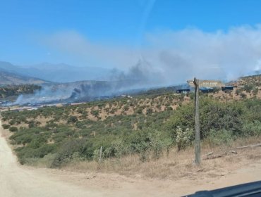 Senapred activa la mensajería SAE y solicita evacuar los sectores El Limachito y Condominio Limache por incendio forestal