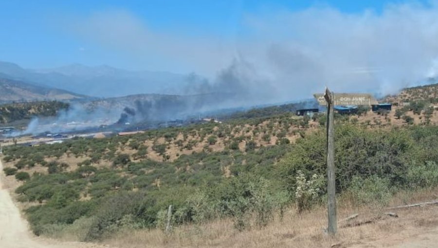 Senapred activa la mensajería SAE y solicita evacuar los sectores El Limachito y Condominio Limache por incendio forestal