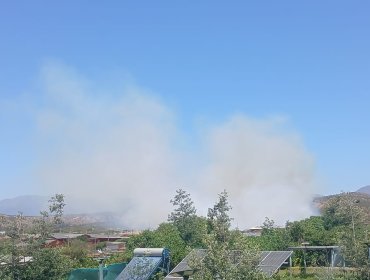 Equipos de emergencia combaten incendio forestal en el sector Los Laureles en Limache