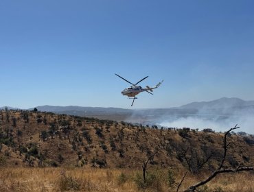 Alerta Roja en Limache: incendio forestal consumió más de 70 hectáreas y obligó a activar Mensajería SAE para evacuar zonas