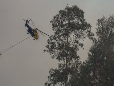 Controlaron incendio forestal que consumió 1 hectárea y que obligó a declarar Alerta Roja en Olmué: no hubo amenaza a viviendas