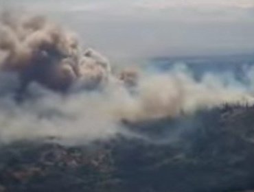 Declaran Alerta Roja para la comuna de Santo Domingo por incendio forestal en sector Panguirosa