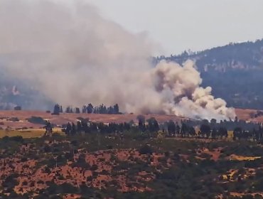 Senapred activa la mensajería SAE y solicita evacuar el sector Panguirosa de Santo Domingo por incendio forestal