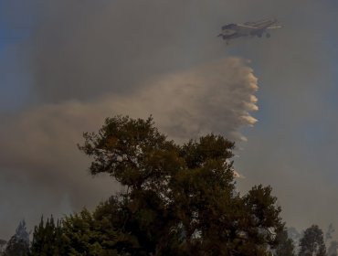 50 hectáreas ha consumido el incendio forestal en Santo Domingo: siniestro "ha bajado bastante la intensidad"