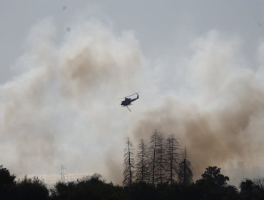 Cancelan la Alerta Roja y declaran Alerta Amarilla para la comuna de Olmué tras control de incendio forestal