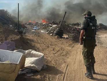 Detienen a hombre como presunto autor de incendio forestal que afectó a la comuna de Olmué