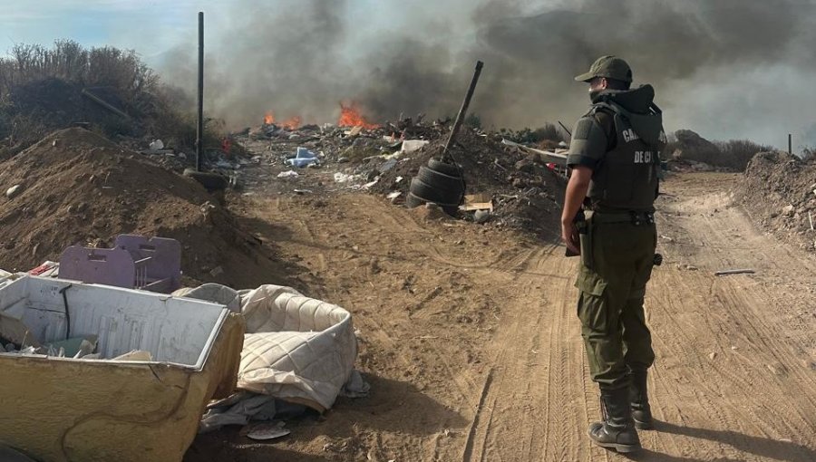 Detienen a hombre como presunto autor de incendio forestal que afectó a la comuna de Olmué
