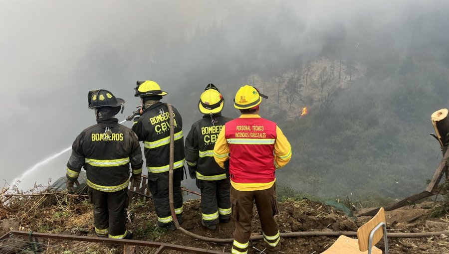 Controlan incendio forestal que obligó a evacuar la población La Isla de Valparaíso: no hubo casas afectadas por acción del fuego