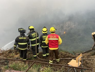 Controlan incendio forestal que obligó a evacuar la población La Isla de Valparaíso: no hubo casas afectadas por acción del fuego