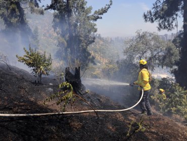 0,5 hectáreas de vegetación consumió incendio forestal que mantuvo en Alerta Roja y obligó a evacuar sector poblado de Cartagena