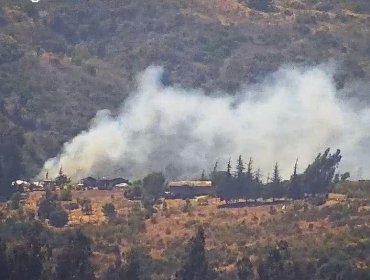 Declaran Alerta Roja para la comuna de Cartagena por incendio forestal que se desarrolla cercano a sectores habitados