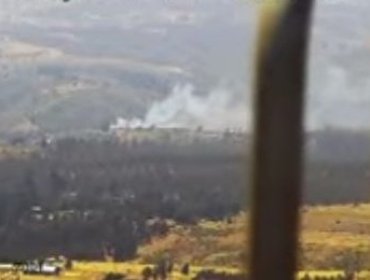 Senapred activa Mensajería SAE y solicita evacuar el sector de Camino El Turno en Cartagena por incendio forestal